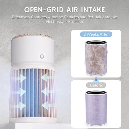 AGH400 Air Purifier Replacement Filter